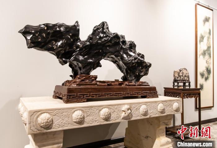 感受奇石魅力 “步入和谐”精品观赏石邀请展在天津开展